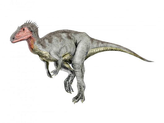 Neovenator Dinosaur Wall Decal