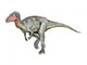 Neovenator Dinosaur Wall Decal