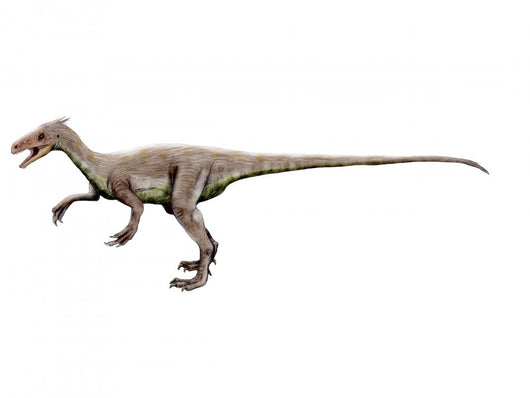Ornitholestes Dinosaur Wall Decal