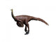 Ornithomimus Dinosaur Wall Decal