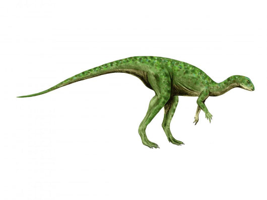 Othnielosaurus Dinosaur Wall Decal