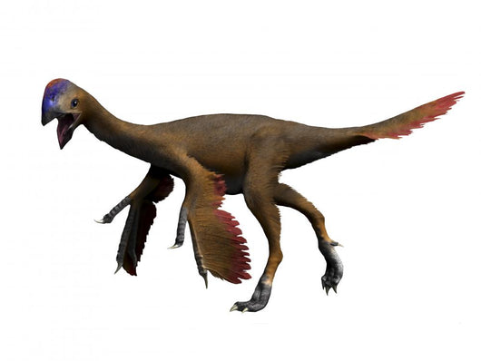 Oviraptor Dinosaur Wall Decal