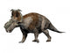 Pachyrhinosaurus Dinosaur Wall Decal