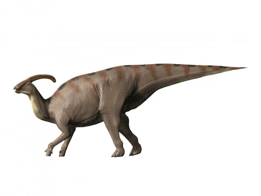 Parasaurolophus Dinosaur Wall Decal