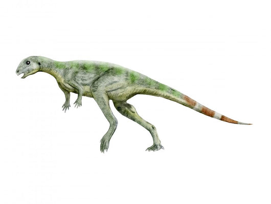 Pisanosaurus Dinosaur Wall Decal