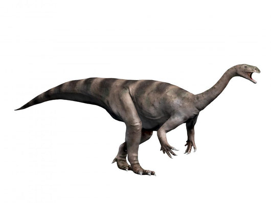 Plateosaurus Dinosaur Wall Decal