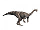 Plateosaurus Dinosaur Wall Decal