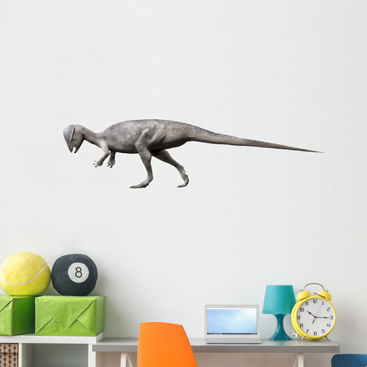 Prenocephale Dinosaur Wall Decal