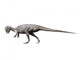 Prenocephale Dinosaur Wall Decal
