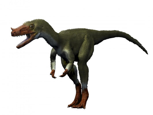 Proceratosaurus Dinosaur Wall Decal