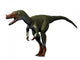 Proceratosaurus Dinosaur Wall Decal