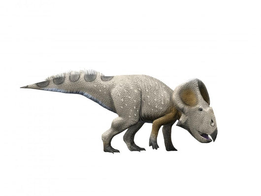 Protoceratops Dinosaur Wall Decal