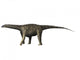 Saltasaurus Dinosaur Wall Decal