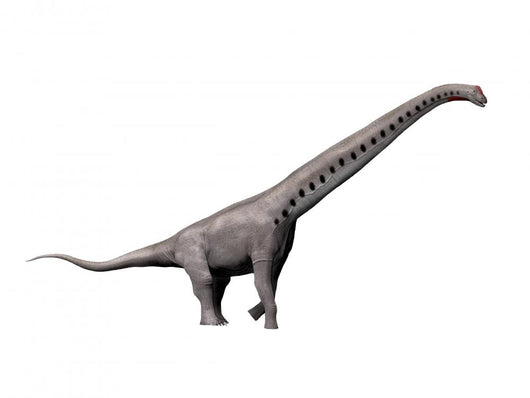 Sauroposeidon Dinosaur Wall Decal