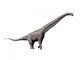 Sauroposeidon Dinosaur Wall Decal