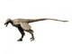 Saurornitholestes Dinosaur Wall Decal