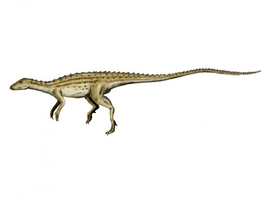 Scutellosaurus Dinosaur Wall Decal