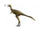 Shuvuuia Dinosaur Wall Decal