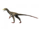 Sinocalliopteryx Dinosaur Wall Decal