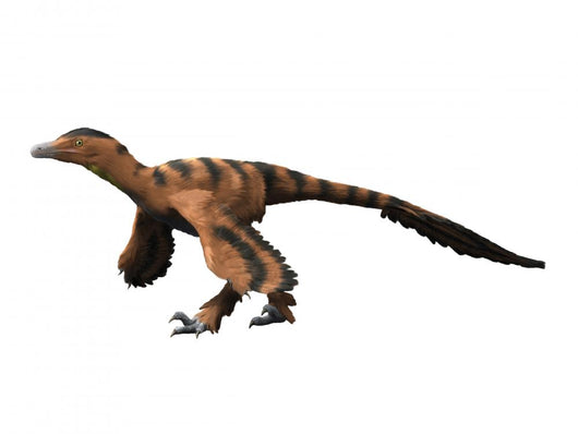 Sinornithosaurus Dinosaur Wall Decal