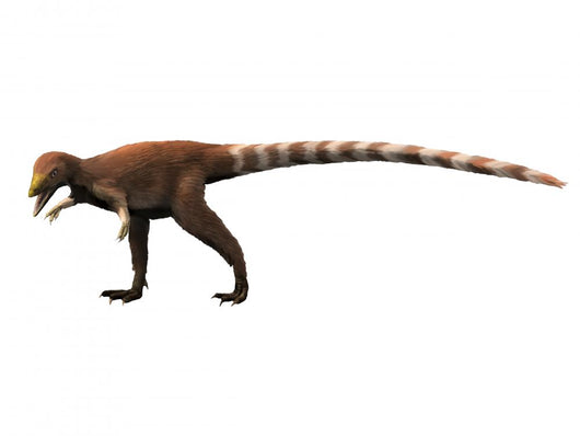Sinosauropteryx Dinosaur Wall Decal