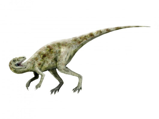 Staurikosaurus Dinosaur Wall Decal