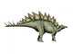 Stegosaurus Dinosaur Wall Decal