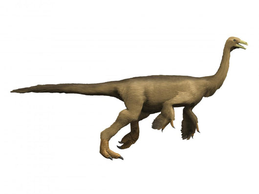 Struthiomimus Dinosaur Wall Decal
