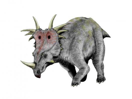 Styracosaurus Dinosaur Wall Decal