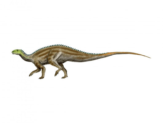 Tenontosaurus Dinosaur Wall Decal