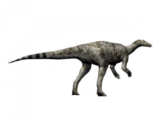 Thescelosaurus Dinosaur Wall Decal