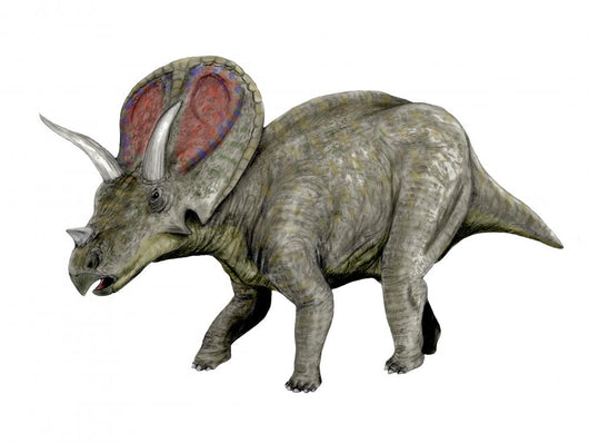 Torosaurus Dinosaur Wall Decal
