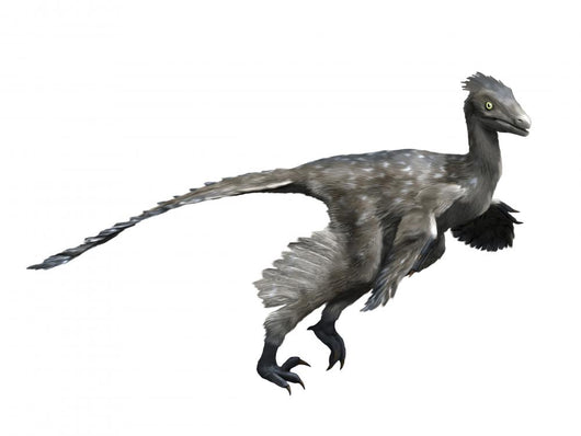Troodon Dinosaur Wall Decal