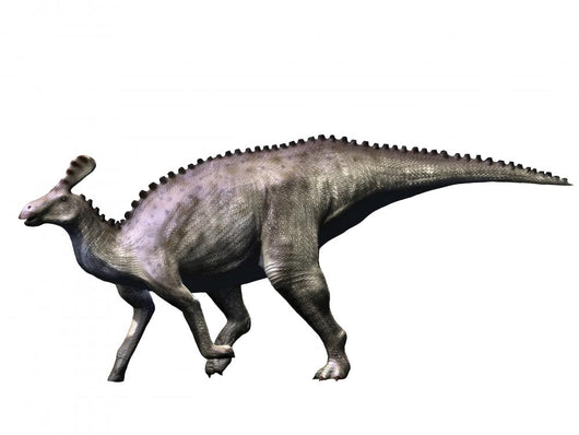 Tsintaosaurus Dinosaur Wall Decal