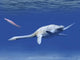 Aristonectes Plesiosaur Attempts to Wall Decal