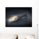 Athenaegis Is Armored Fish Wall Decal