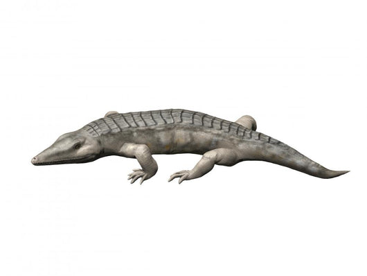 Chroniosuchus Is Extinct Animal Wall Decal