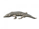 Chroniosuchus Is Extinct Animal Wall Decal