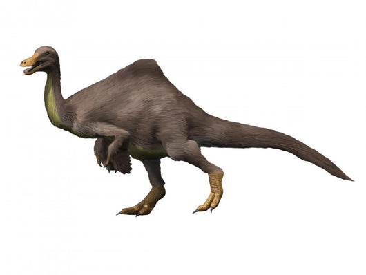 Deinocheirus Is Ostrich-like Dinosaur Wall Decal