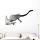 Diplocaulus Is Extinct Lepospondyl Wall Decal