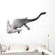 Diplocaulus Is Extinct Lepospondyl Wall Decal