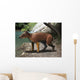 Elomeryx Is Artiodactyl Ungulate Wall Decal