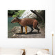 Elomeryx Is Artiodactyl Ungulate Wall Decal