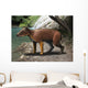 Elomeryx Is Artiodactyl Ungulate Wall Decal