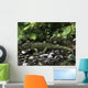 Gephyrosaurus Is Extinct Animal Creek Wall Decal