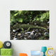 Gephyrosaurus Is Extinct Animal Creek Wall Decal