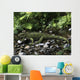 Gephyrosaurus Is Extinct Animal Creek Wall Decal