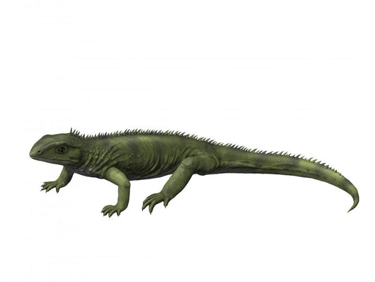 Gephyrosaurus Is Extinct Animal Wall Decal