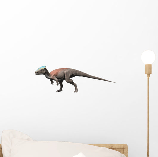 Homalocephale Is Pachycephalosaur from Wall Decal