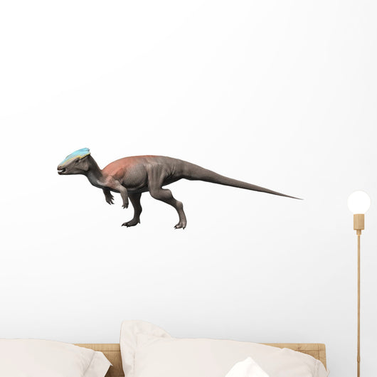 Homalocephale Is Pachycephalosaur from Wall Decal
